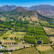 Cape Winelands